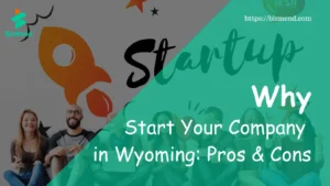 Wyoming LLC Pros and Cons & Requirements for Non-Residents
